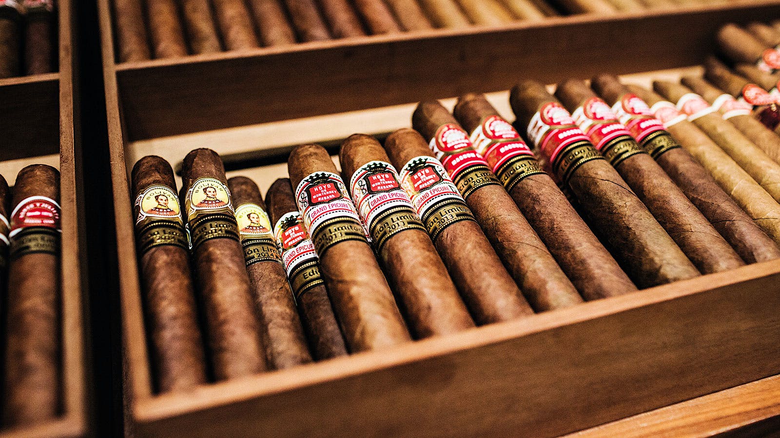 Best Cigars in India: Budget-Friendly Finds.
