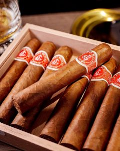 Close-up of La Flor de Cano Elegidos cigar with band, resting on an ashtray, half-smoked