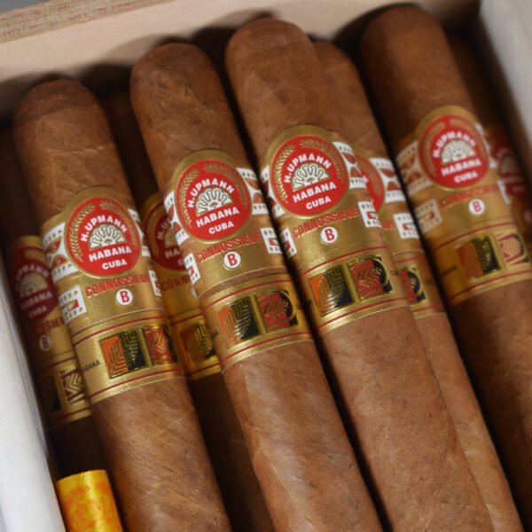 H.Upmann Connossieur B