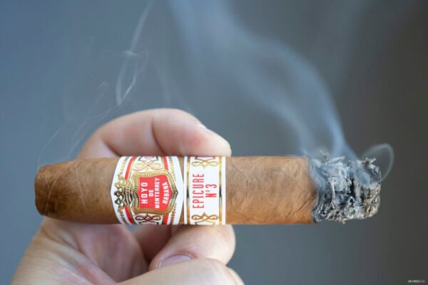 Hoyo De Monterrey Epicure No. 3