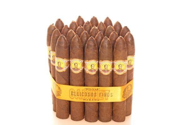 Bolivar Belicosos Finos