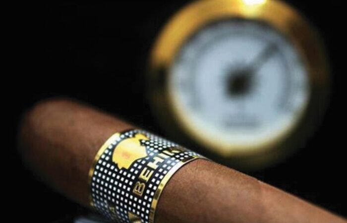 The Lifecycle of Tobacco: From Plantation to Cigar
