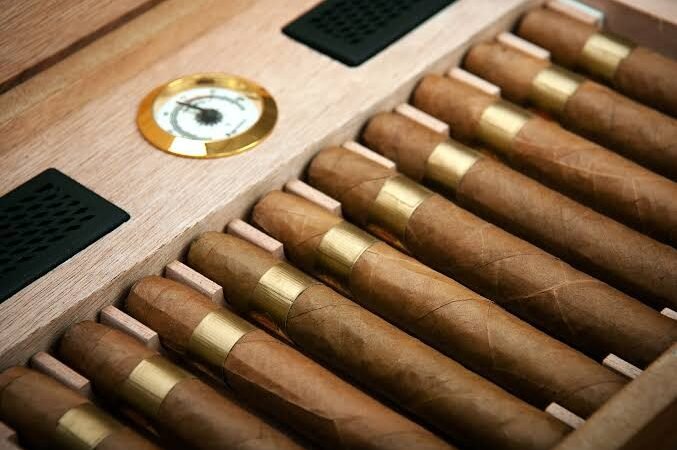 How to Store Cigars Like a Pro