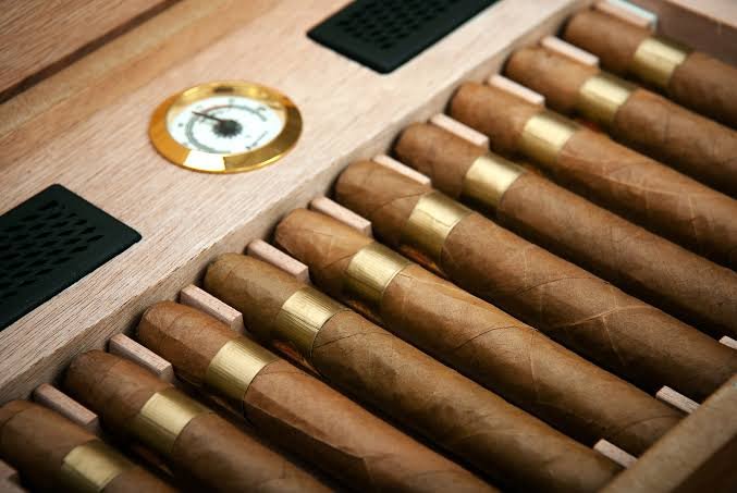 How to Store Cigars Like a Pro